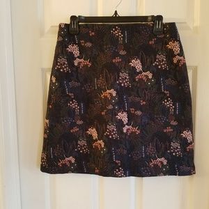 Ann Taylor skirt